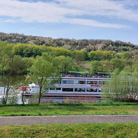 Ferienwohnungen "Moselblick" Лізер Екстер'єр фото